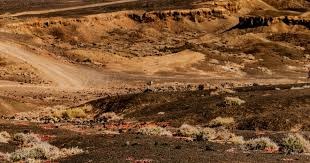 为什么说“赌博是盲目的投资，投资是有备的赌博”？（从盲目到有备：赌博与投资的本质差异）